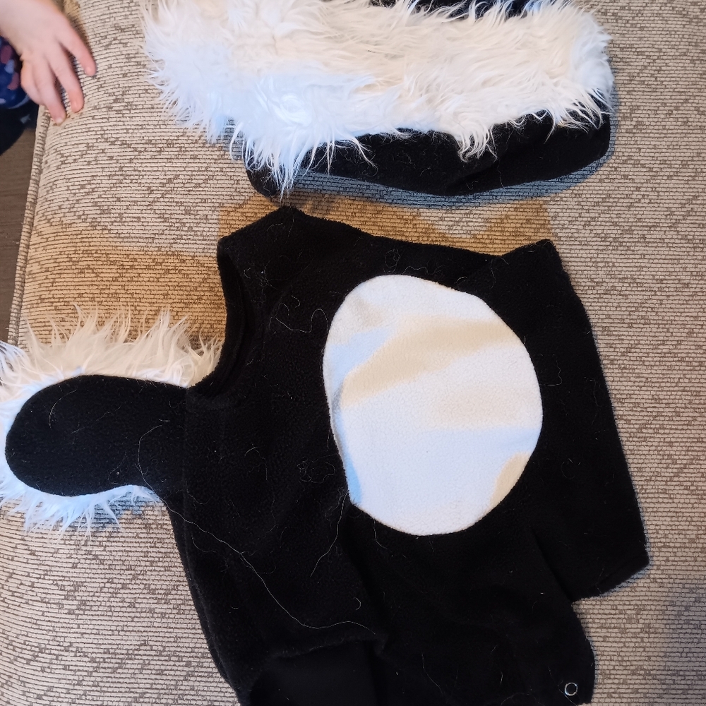Pottery barn 6-12 skunk costume